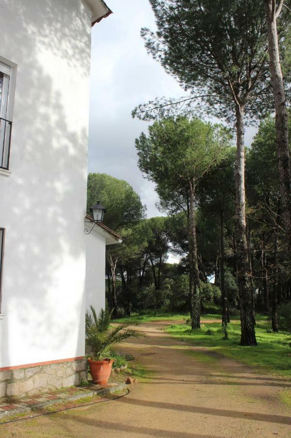 Vina Concepcion Villa Andújar Eksteriør bilde
