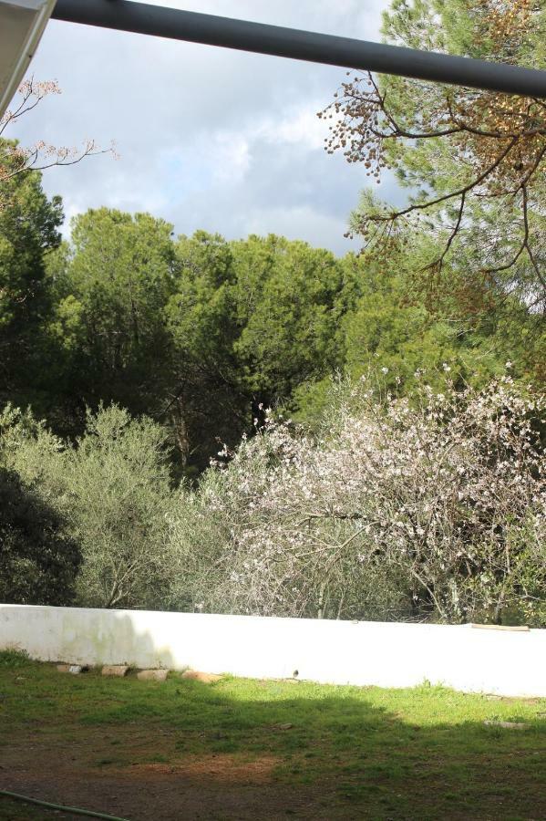 Vina Concepcion Villa Andújar Eksteriør bilde
