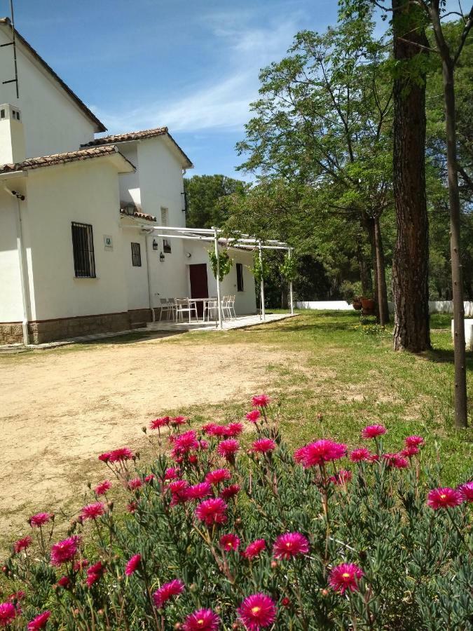 Vina Concepcion Villa Andújar Eksteriør bilde